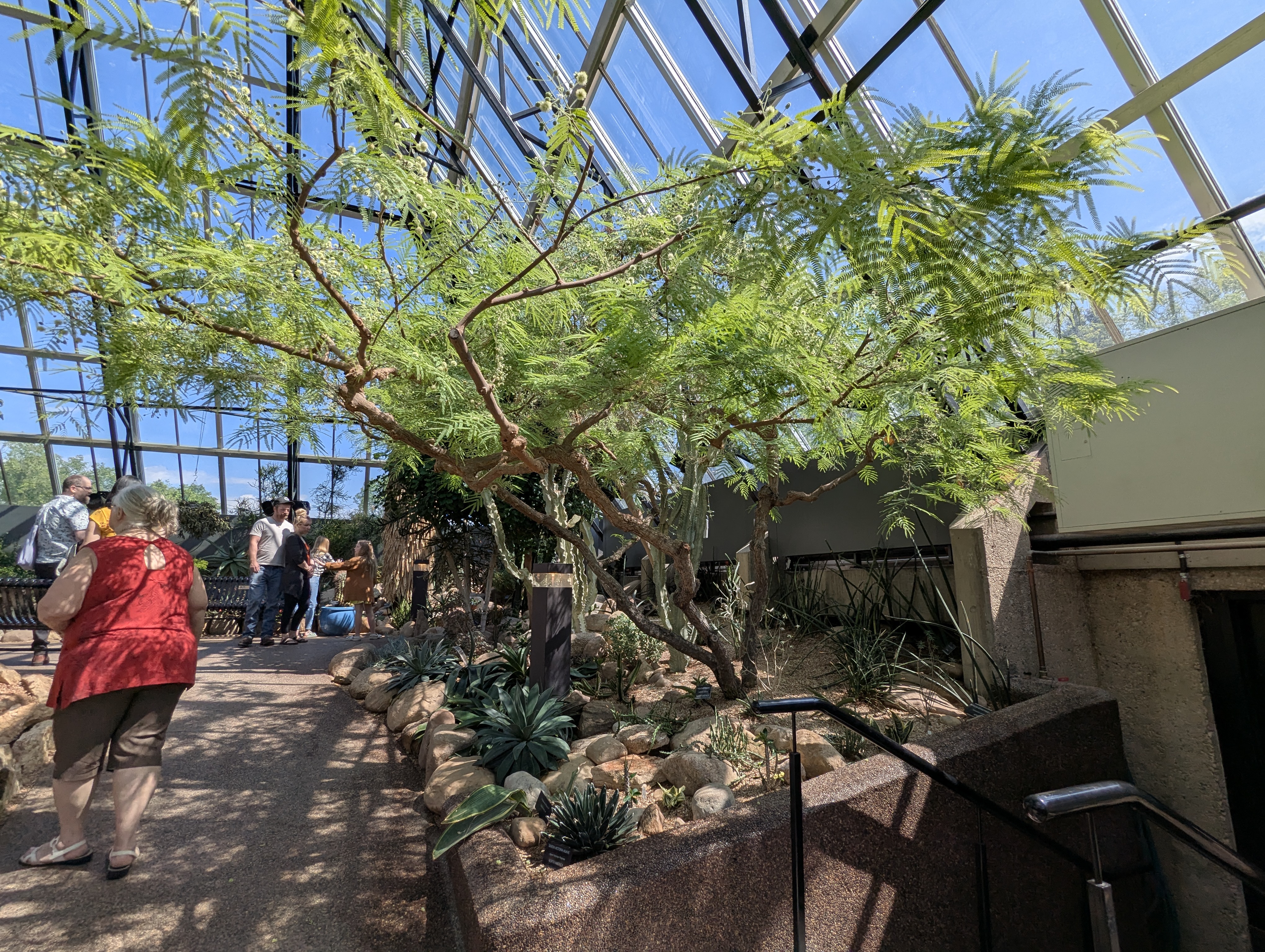 Birthday Trip to Canada, Edmonton, Pyramids, Muttart Observatory